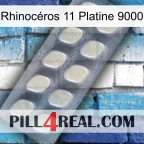 Rhinocéros 11 Platine 9000 08